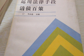 玉林玉林的要账公司在催收过程中的策略和技巧有哪些？